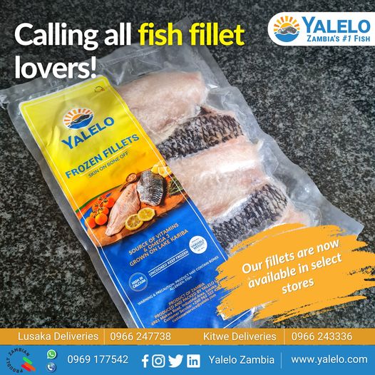 Premium Fillets